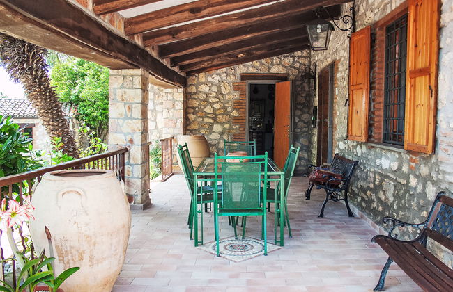 Olivo secolare - Foto 5