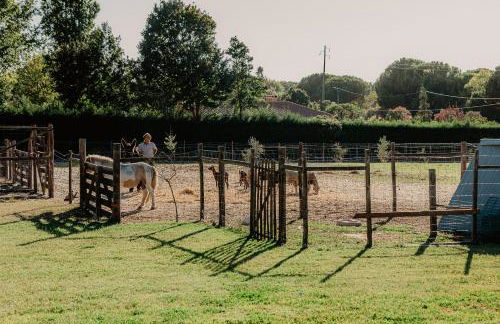 Country Club - Sto Estevao - Foto 80