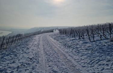 Design Apartments I Küche I WiFi I Parkplatz I helloYOU apartments x BRIGHT Collection - Foto 27