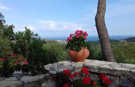 Olea Escape Villa in an Olive Estate - Foto 64