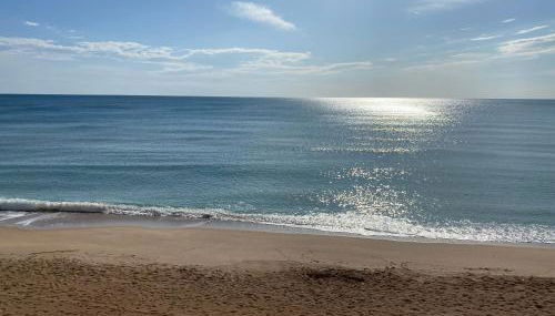 Caballito de Mar - Foto 3