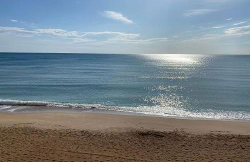 Caballito de Mar - Foto 3