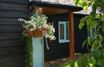 The Little Orchard - Foto 19