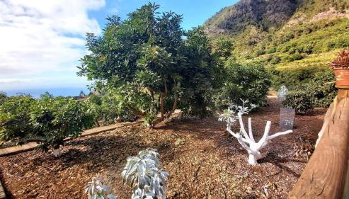 Casa Rural La Resbala - Casa Tajinaste - Foto 5