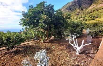 Casa Rural La Resbala - Casa Tajinaste - Foto 5