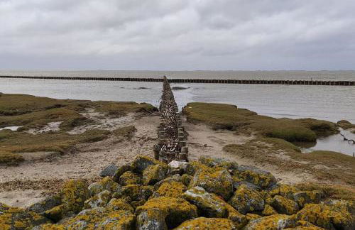 Ferienwohnung Altneukoog - Foto 32