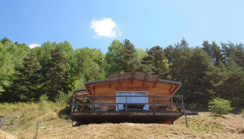 Les Chatcureuils - Foto 2