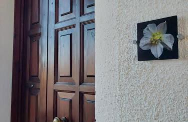 Rosa d' Inverno - Foto 3