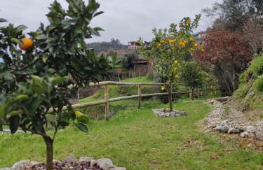 A Casa da Japoneira CB - Foto 30