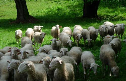 Cascina Veja - Foto 90