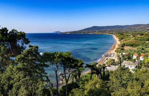 LimonoSpito - Photo 36