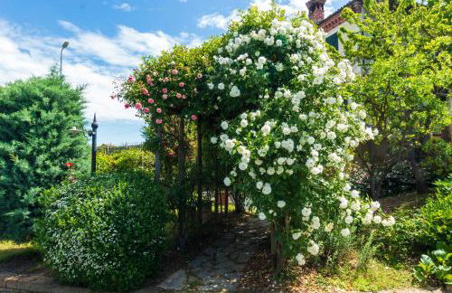 Alba Morus - Photo 32