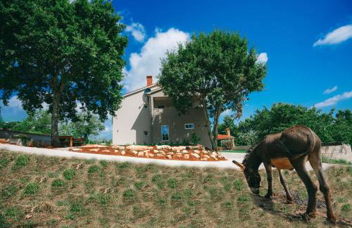 Casa San Vital - Foto 24