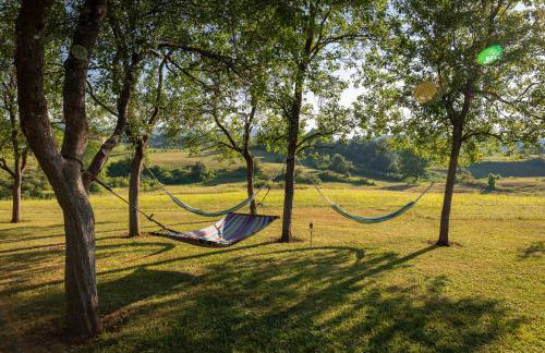 Farmstay Kotić - Foto 41