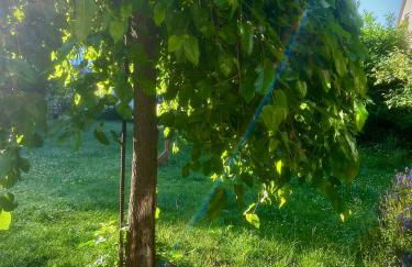 Bergfohlenhof - Photo 68