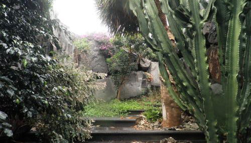 Villa Remedios - Foto 5