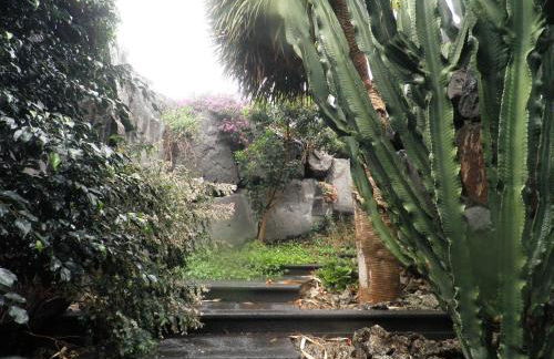 Villa Remedios - Foto 5