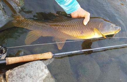 Casa Rural El Arco - Foto 36