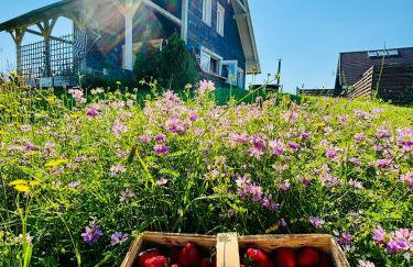 Czaplowisko - domki z sauną na Kaszubach - Foto 7