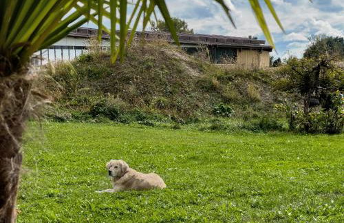 Annette's Home and Garden - Foto 31