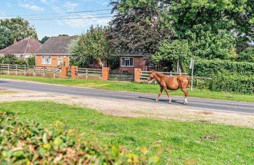 1 Bed in Ringwood oc-93169 - Foto 16