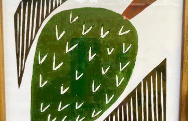 Mandacaru Flats Itamambuca - Foto 25