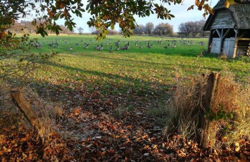 Ferienwohnung Fischerstieg - Foto 37