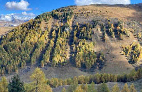 Chalet au coeur de la plagne - Foto 26