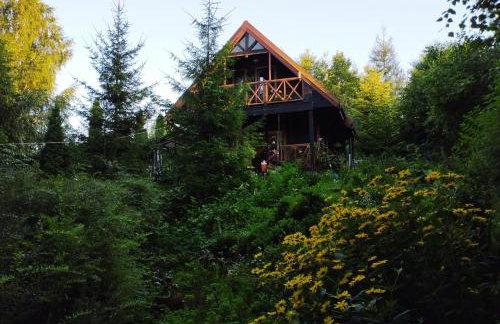 Garden House nad jeziorem Szelment - Foto 46