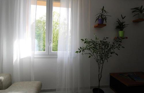 Forli con Park view style e comfort - Photo 7