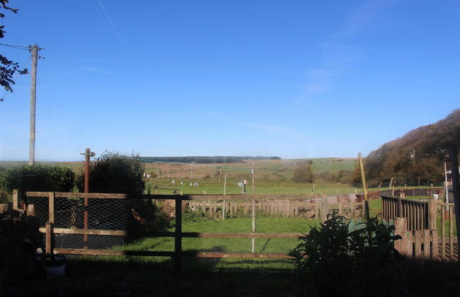 Miner's Cottage - Foto 16