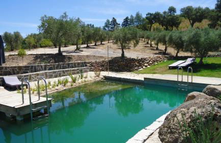 Bela Vista Silo Housing - Foto 14