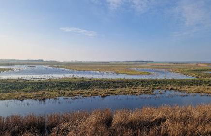 Minster Leas - Foto 31