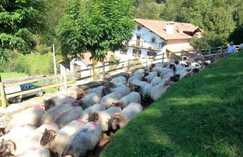 CASA RURAL Urruska - Foto 72