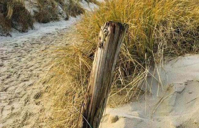 Cosy Apartment Near Centre - Foto 11