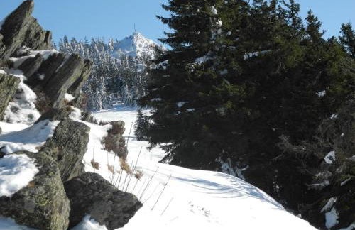 Schlosserhaus Lam - Foto 28