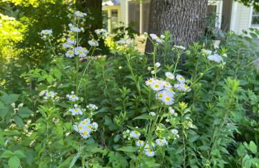 Ski Lodge Mins to White Face Mtn and Lake Placid - Foto 48