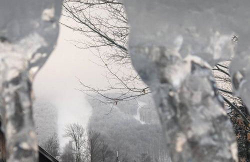 Seasonal Bliss Ski-Hike-Relax - Photo 24