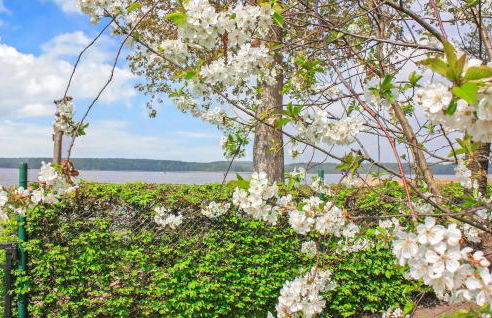 Ferienwohnung Userin - Photo 9