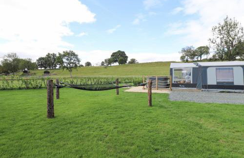 The Kingfisher - Foto 25