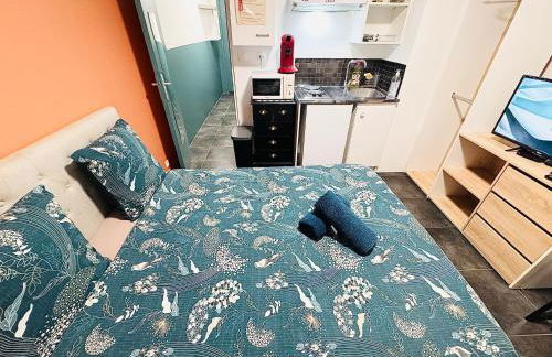 Studio Proche Gare Et Commodités - Foto 37