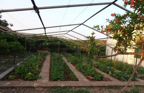 Jenny`s House - Photo 20