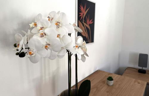 Chic & Lumineux / Évreux Centre / WiFi - Foto 13