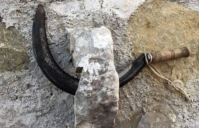 Agriturismo le Cammarose - Photo 30