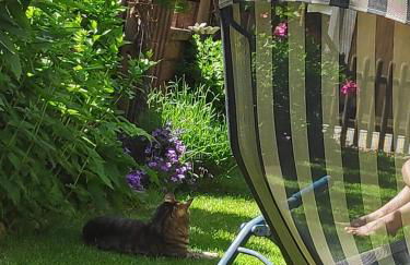 Ferienwohnung Gehl - Foto 14