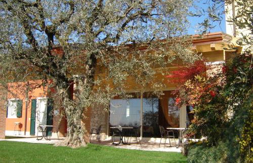 Agriturismo Le Tese - Foto 113