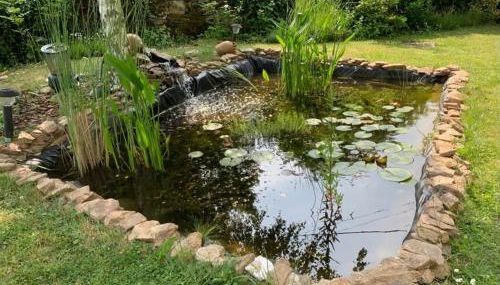 La Tour du Boueix - Foto 3, Garden