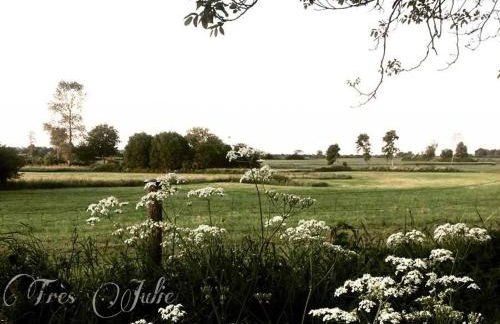Reetdachkaten in Schuby, Ostsee - Foto 16