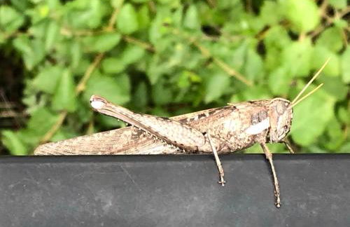 Fishers Of Men Ranch Home - Photo 44