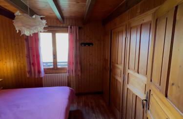 Les Georgières, 300m des pistes du Mont-Rond - Foto 15